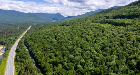 White Mountains