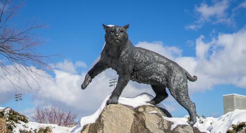 Wildcat statue in the snow