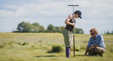 Student and professor conducting research in salt marsh
