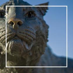 UNH Wildcat Statue detail