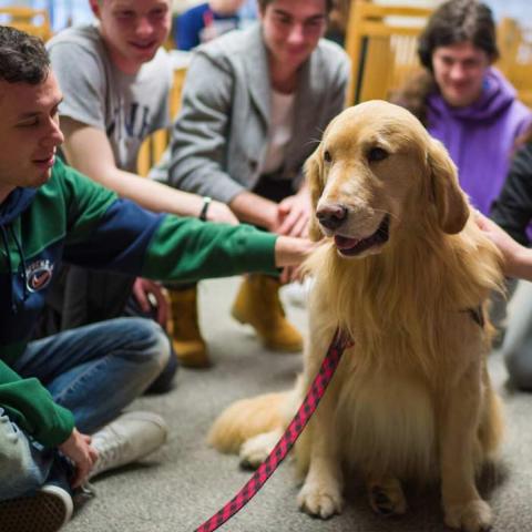 Students petting therapy dog in the Dimond Library