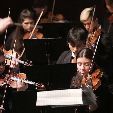 Students playing violins in the symphony orchestra