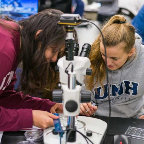 Students looking at specimen under microscope