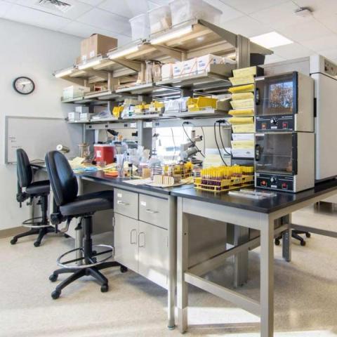 Image of lab table with equipment
