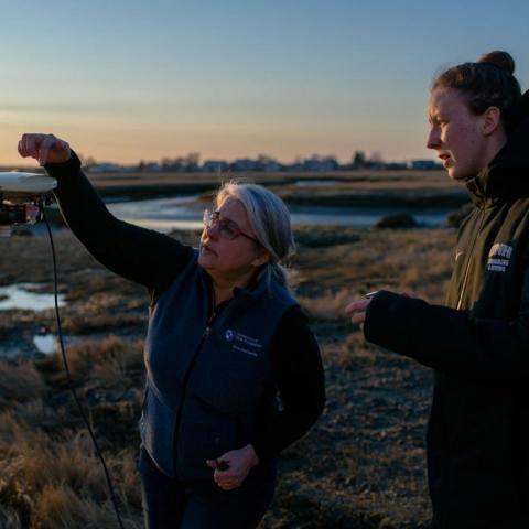 Student and professor conducting research outside