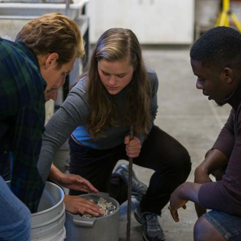 Group of students working on research project together