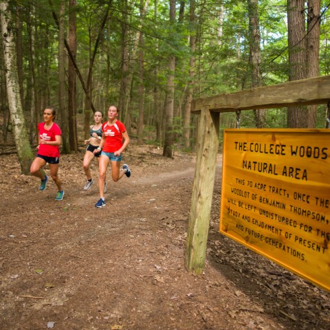 Runners in College Woods