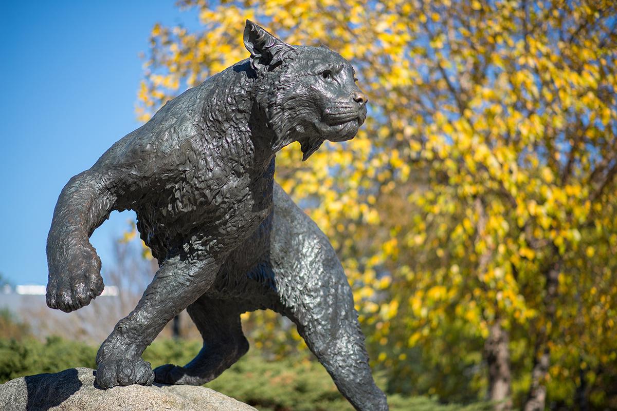 wildcat statue on unh campus